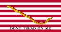 Naval Jack of the United States.png